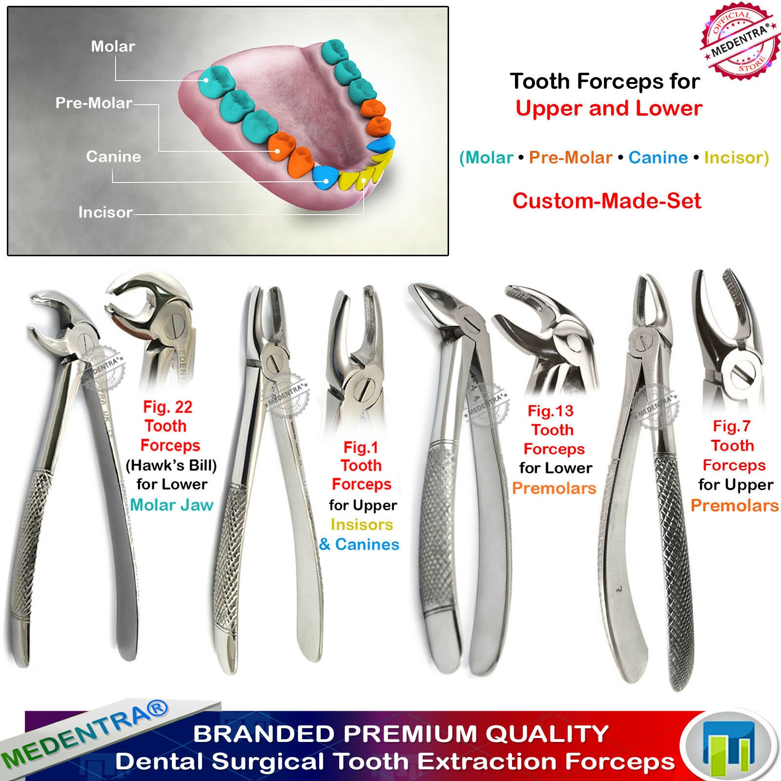 Dental Forceps for Upper Lower Premolars Tooth Forceps Surgical Set MEDENTRA
